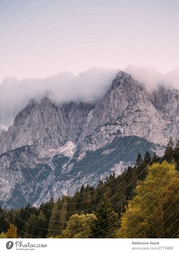 Picturesque view of rocky mountains Mountain coniferous Fog Landscape Rock Environment scenery atmospheric Haze Natural Forest Vacation & Travel Vantage point