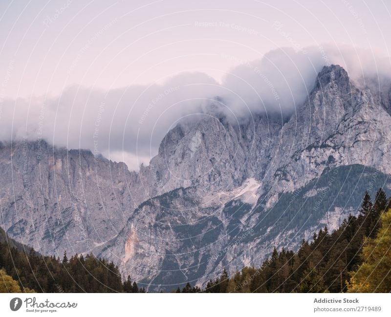 Picturesque view of rocky mountains Mountain coniferous Fog Landscape Rock Environment scenery atmospheric Haze Natural Forest Vacation & Travel Vantage point