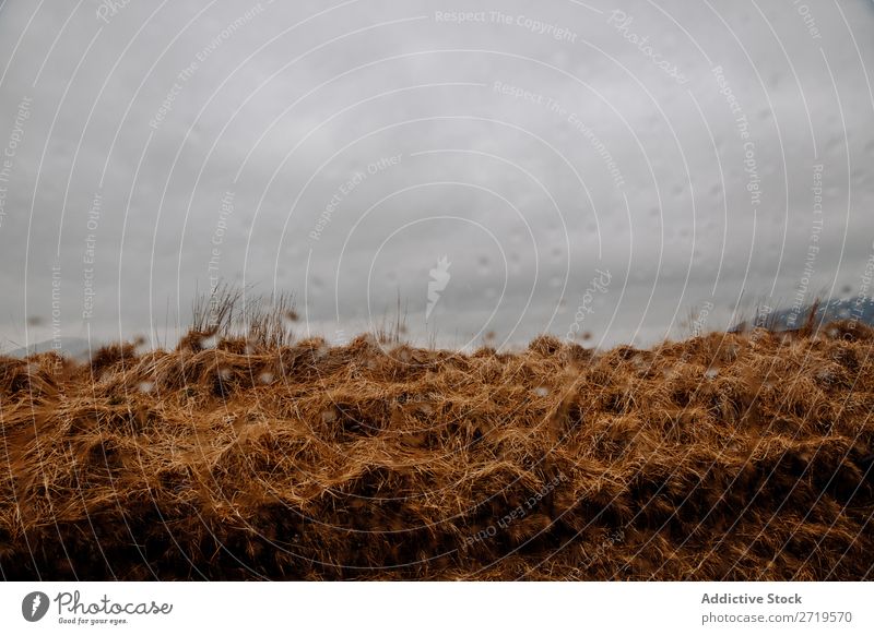 Foggy mountains and dry grass Mountain Clouds Grass Dry Nature Landscape Natural Vacation & Travel Rock Tourism Stone Scotland Forest Field Meadow Vantage point