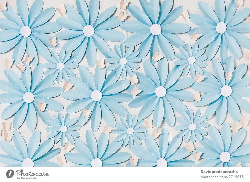 Flowers background photo wall Abstract Daisy Blossom leave Self-made decor Paper Wallpaper Background picture crafts Structures and shapes Ornament Decoration