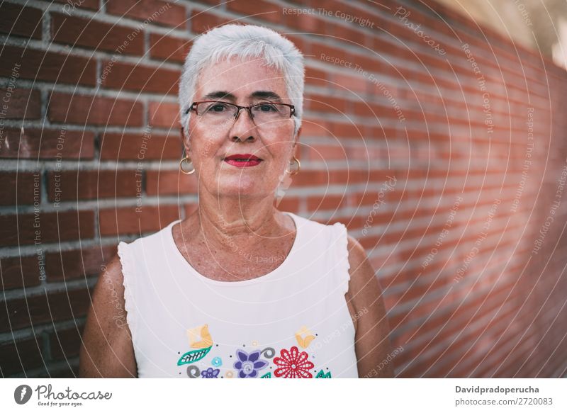 Portrait of a elderly woman Woman grey hair Old Portrait photograph Beauty Photography retired Human being Senior citizen Relaxation Cute Attractive Horizontal