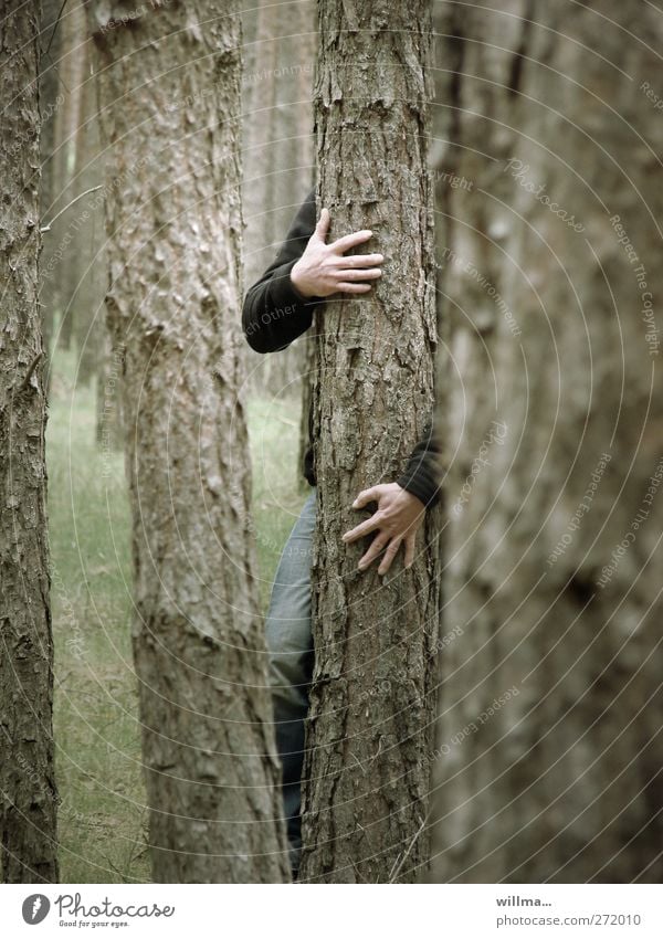 dancing with the tree Tree Embrace Tree trunk Forest Hand Nature Creepy Force Loneliness Sustainability Environmental protection Attachment To hold on Touch