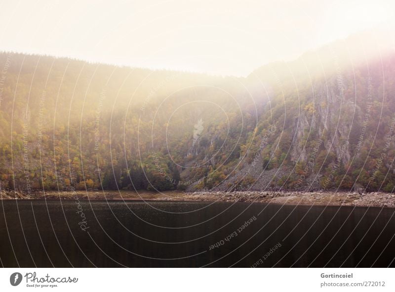 Lac Blanc Environment Nature Landscape Sun Summer Beautiful weather Forest Rock Mountain Lakeside Dusk Shaft of light Flare Alsace France Vosges Mountains