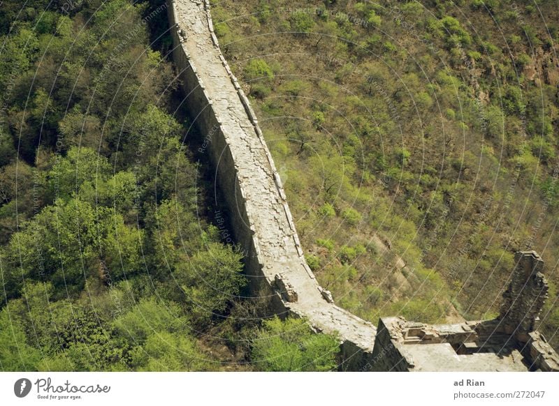 Large wall (small section) Nature Landscape Spring Beautiful weather Tree Grass Bushes Forest Hill China Ruin Gate Manmade structures Architecture