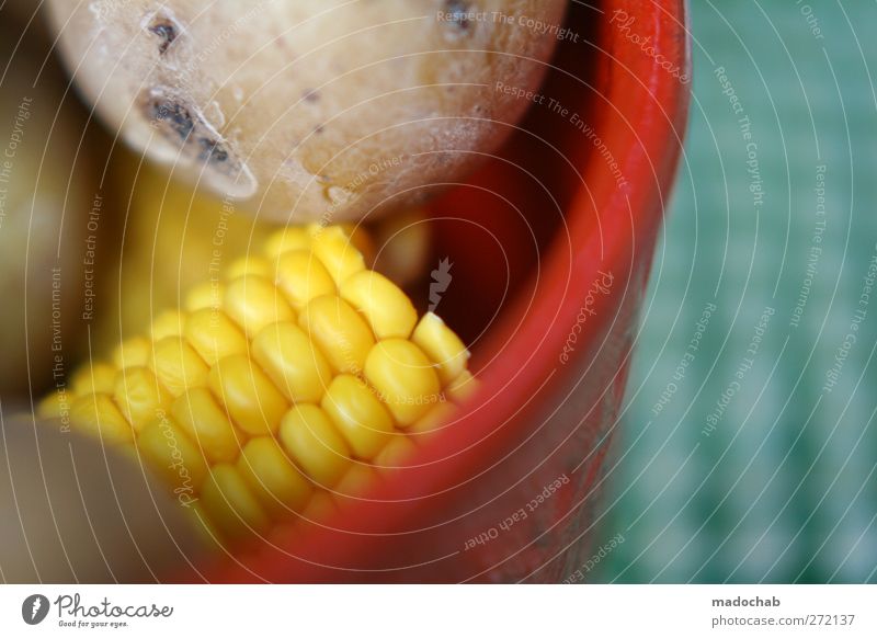 Yellow is the new black Food Vegetable Nutrition Lunch Dinner Organic produce Vegetarian diet Happiness Fresh Dry Colour Healthy Sustainability Tablecloth