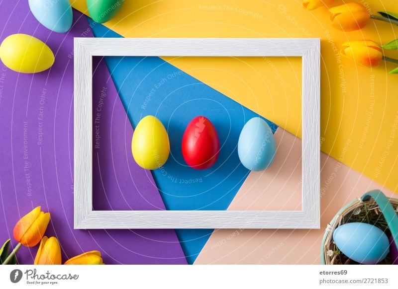 Easter concept.wooden frame with easter eggs and tulips Egg Neutral Background Background picture Vacation & Travel Feasts & Celebrations Public Holiday Spring