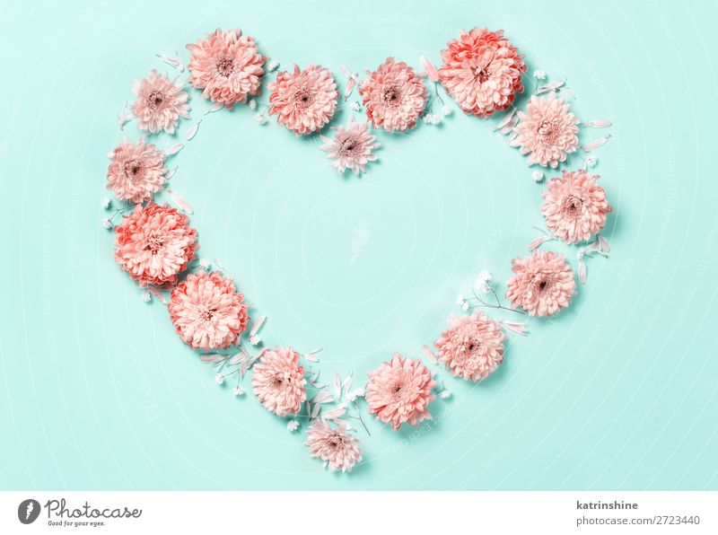 Heart symbol made of coral flowers Design Decoration Wedding Woman Adults Mother Art Flower Above Pink Creativity background Card composition Conceptual design