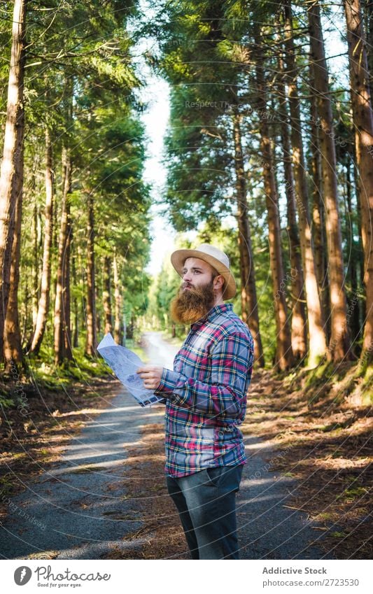 Man navigating on road in woods Tourist Nature Navigation Sunbeam Street using browsing bearded Forest Green Vacation & Travel Adventure Landscape Hiking Azores