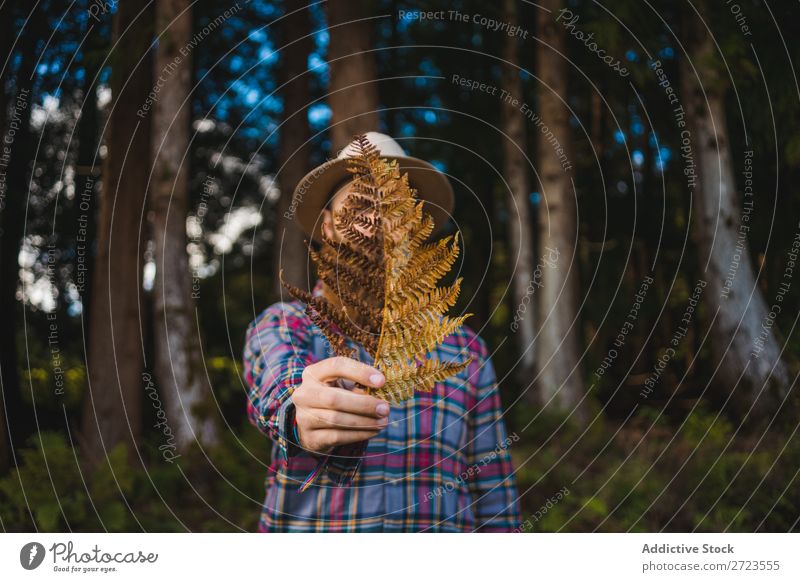 Man with brown leaf in beard Tourist Nature bearded Leaf Brown Conceptual design Hat Forest Green Vacation & Travel Adventure Landscape Azores Hiking