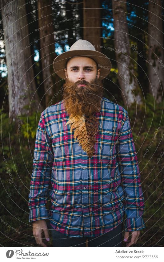 Man with brown leaf in beard Tourist Nature bearded Leaf Brown Conceptual design Hat Forest Green Vacation & Travel Adventure Landscape Azores Hiking