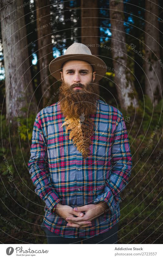 Man with brown leaf in beard Tourist Nature bearded Leaf Brown Conceptual design Hat Forest Green Vacation & Travel Adventure Landscape Azores Hiking