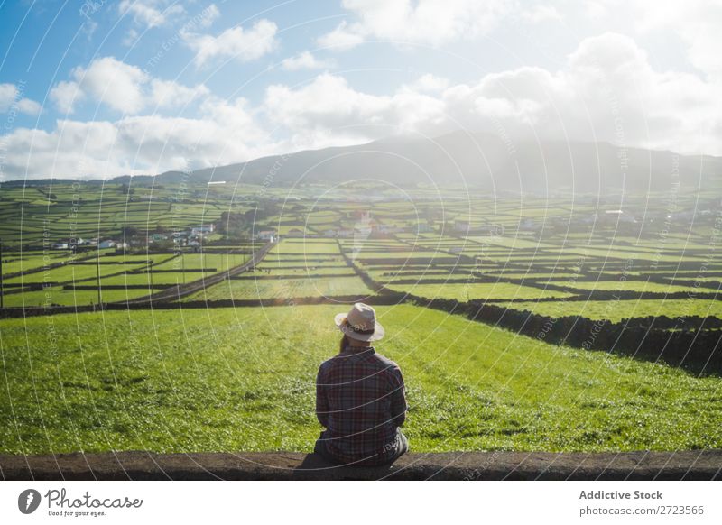 Aerial view to green fields Field Green Vantage point Nature Meadow Grass Landscape Rural Summer Plant Azores Spring Lawn Landing Environment Seasons Farm