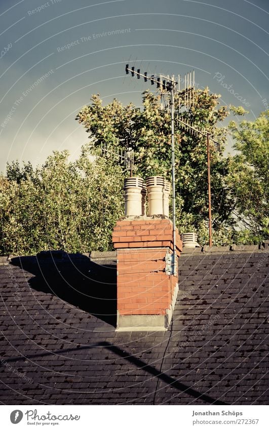 British roofs II England Great Britain Town Outskirts House (Residential Structure) Detached house Esthetic Roof Chimney Antenna Tree Treetop Sky English Shadow