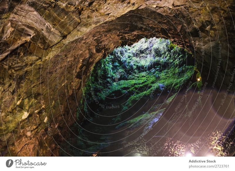 Cave covered with green moss Entrance Rock Moss Growth Wet Green Nature Stone Natural Environment Fresh Wall (building) Grass Azores Surface Leaf Abstract