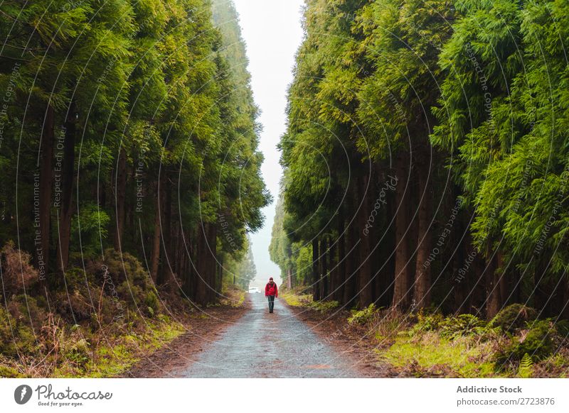 Hiker in forest with hands up Tourist Nature Man Hands up! Walking Street Red Jacket Forest Green Vacation & Travel Adventure Landscape Hiking Azores