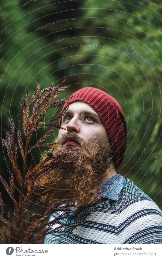 Bearded man standing at branch in forest Tourist Forest Green Man bearded Nature Vacation & Travel Tourism Lifestyle Action Leisure and hobbies Human being