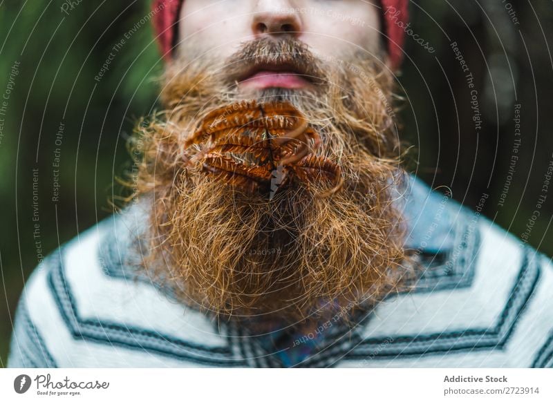 Adult man with branch in beard Tourist Forest Man Green bearded Branch Leaf Nature Vacation & Travel Tourism Lifestyle Action Leisure and hobbies Human being