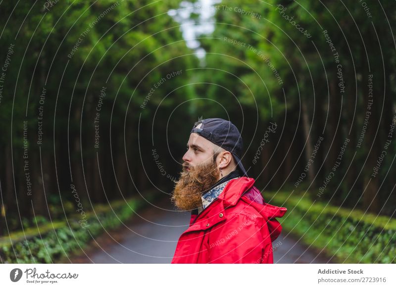 Bearded man in hat on road Tourist Nature Man bearded Forest Green Hat Street Vacation & Travel Adventure Landscape Hiking Exterior shot Vantage point Azores