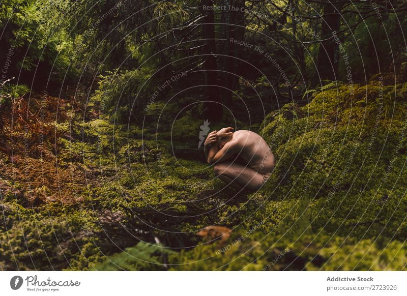 Man sitting on green moss Naked Forest Youth (Young adults) Torso Natural Moss Sit Park Model handsome Adults Nature Wood shirtless Strong Attractive Muscular