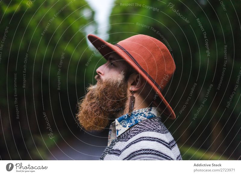 Bearded man in hat on road Tourist Nature Man bearded Forest Green Hat Street Vacation & Travel Adventure Landscape Hiking Exterior shot Vantage point Azores