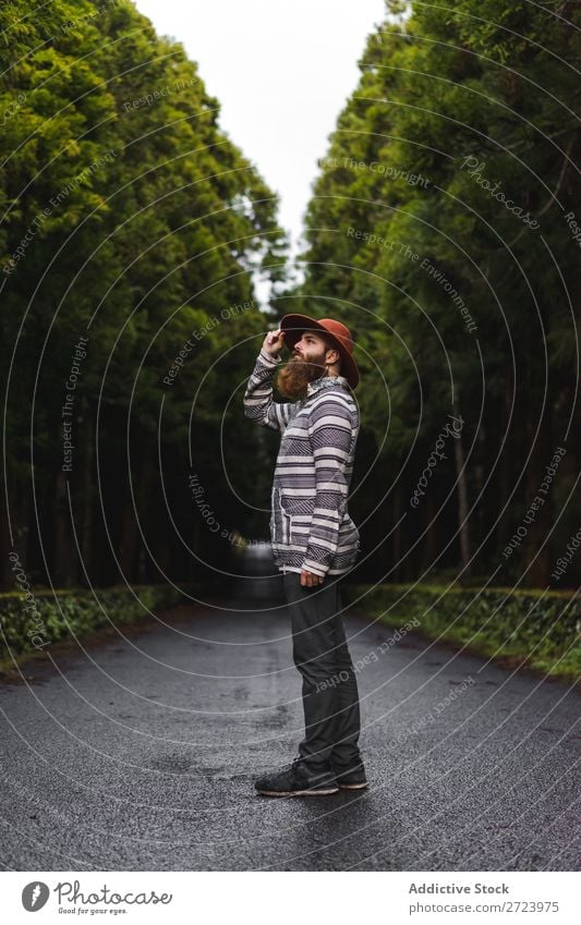 Bearded man in hat on road Tourist Nature Man bearded Forest Green Hat Street Vacation & Travel Adventure Landscape Hiking Exterior shot Vantage point Azores