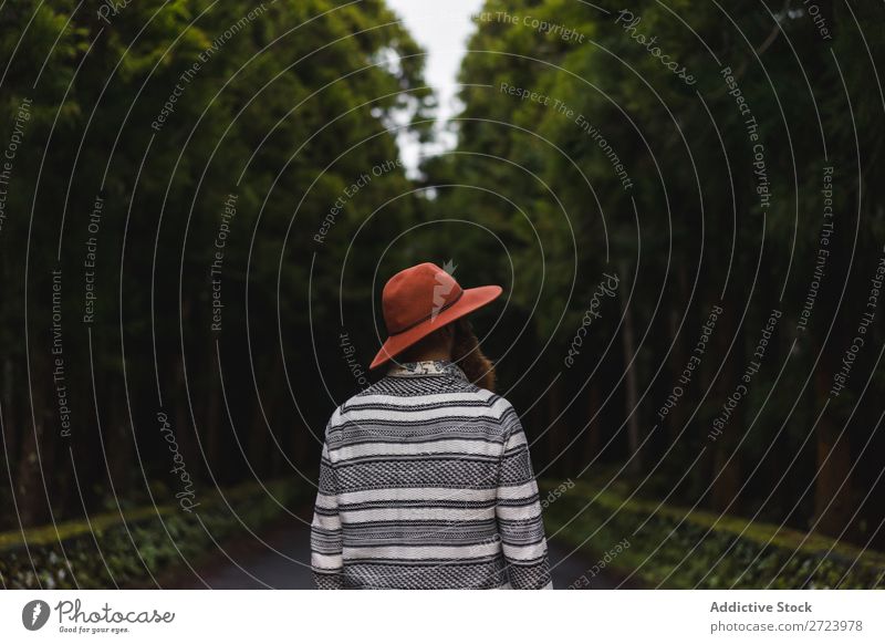 Bearded man in hat on road Tourist Nature Man bearded Forest Green Hat Street Vacation & Travel Adventure Landscape Hiking Exterior shot Vantage point Azores