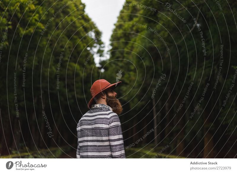 Bearded man in hat on road Tourist Nature Man bearded Forest Green Hat Street Vacation & Travel Adventure Landscape Hiking Exterior shot Vantage point Azores