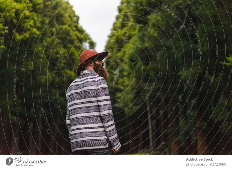 Bearded man in hat on road Tourist Nature Man bearded Forest Green Hat Street Vacation & Travel Adventure Landscape Hiking Exterior shot Vantage point Azores