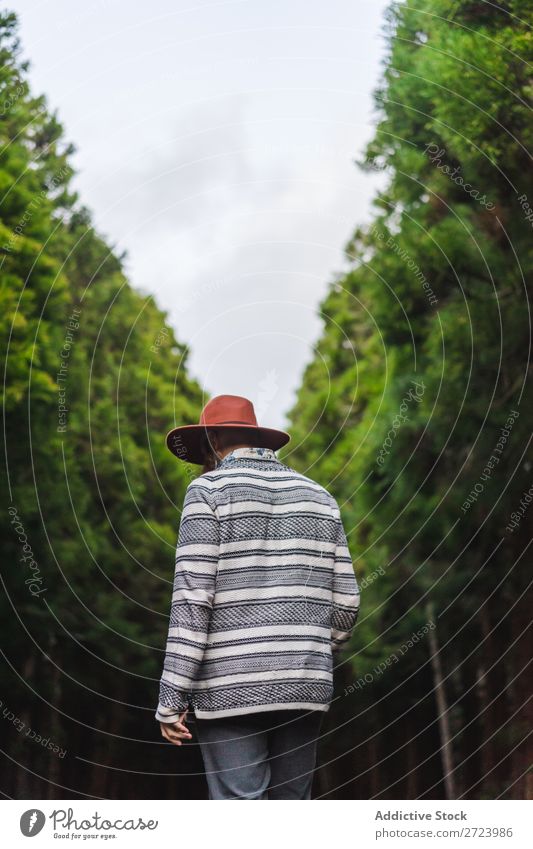 Bearded man in hat on road Tourist Nature Man bearded Forest Green Hat Street Vacation & Travel Adventure Landscape Hiking Exterior shot Vantage point Azores