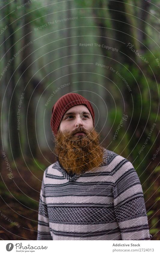 Thoughtful man in forest Man Considerate Trip Vacation & Travel Car handsome Azores bearded Nature Human being Earnest Modern Self-confident Pensive Guy