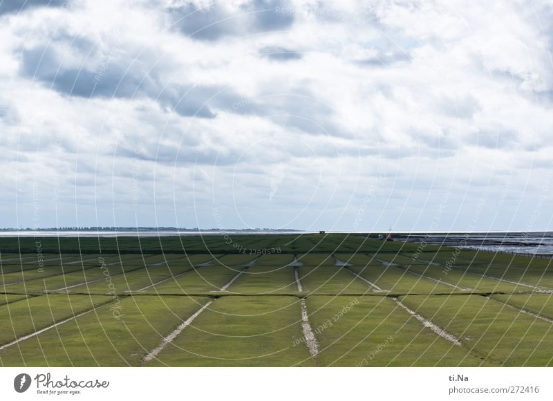 helmet sand Environment Nature Landscape Earth Sky Clouds Spring Summer Beautiful weather Wind Coast North Sea Discover Sustainability Natural Blue Gray Green