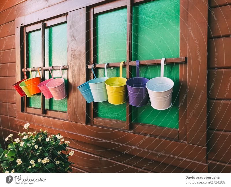 Wooden cabin windows colorful plant pots Window Hut flower pots Metal Pot Multicoloured Colour Plant Row Flower Wall (building) Rustic Old Antique Antiquity