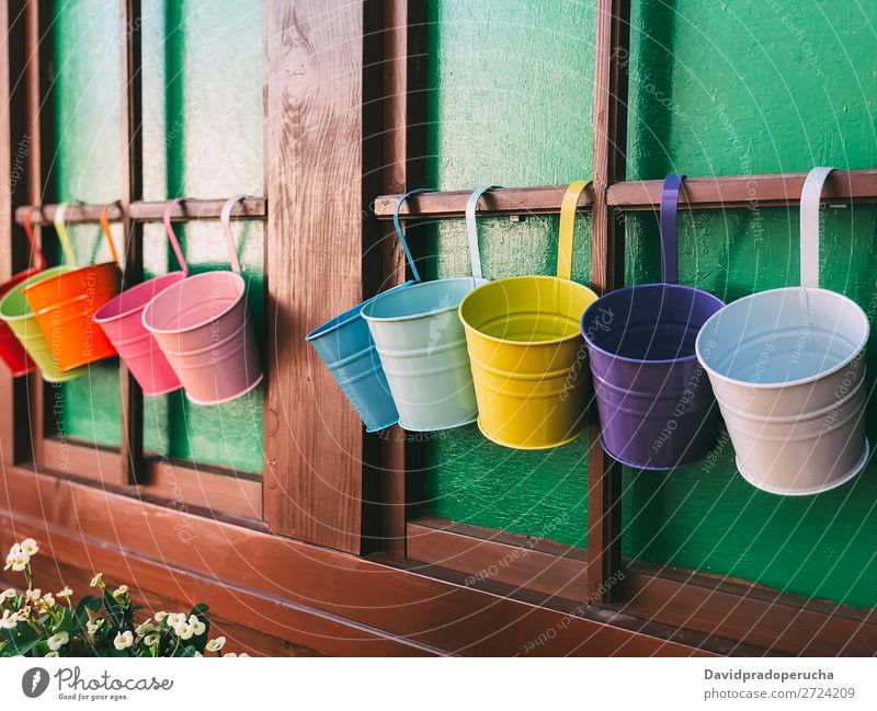 Wooden cabin windows colorful plant pots Window Hut flower pots Metal Pot Multicoloured Colour Plant Row Flower Wall (building) Rustic Old Antique Antiquity