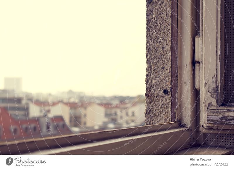 Watching the World outside Town Capital city Downtown Skyline House (Residential Structure) High-rise Building Wall (barrier) Wall (building) Window Roof Stone