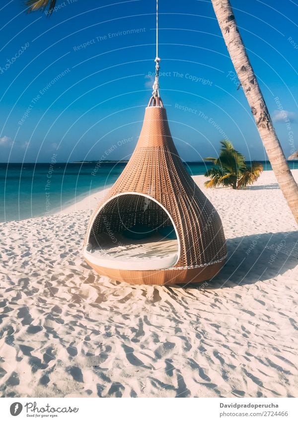 Maldives island luxury resort palm tree with hanging hammock Island Beach Hammock Palm tree Luxury Resort Idyll Heaven treepod Paradise Beautiful Swing Sun Reef