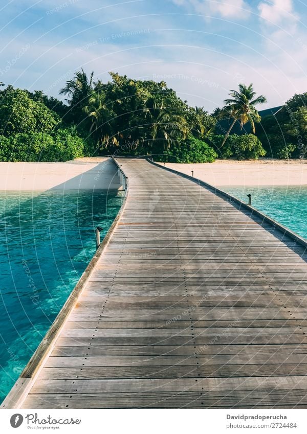 Maldives island luxury resort wooden pier Beach Jetty Vacation & Travel Ocean Lagoon Sand Island Idyll Luxury scenery Coast Tropical Paradise Exotic Reef