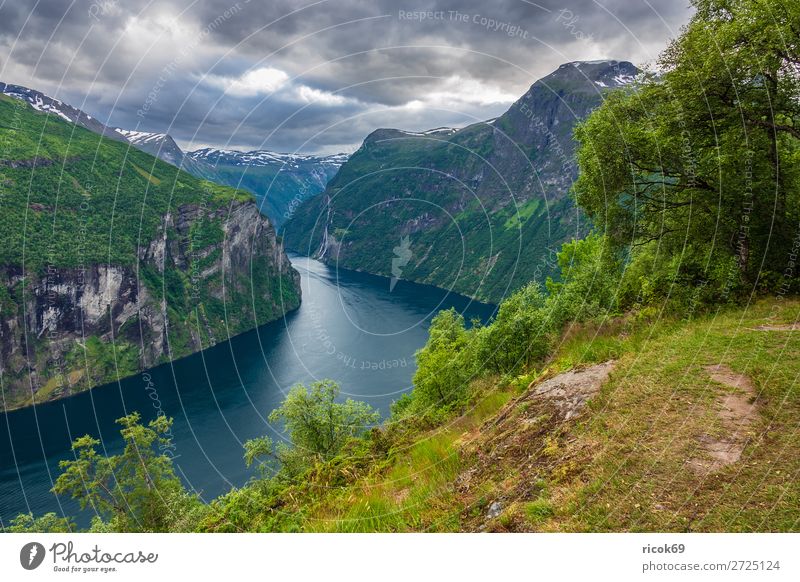 View of the Geirangerfjord in Norway Relaxation Vacation & Travel Tourism Cruise Mountain Nature Landscape Water Clouds Tree Rock Fjord Tourist Attraction Idyll