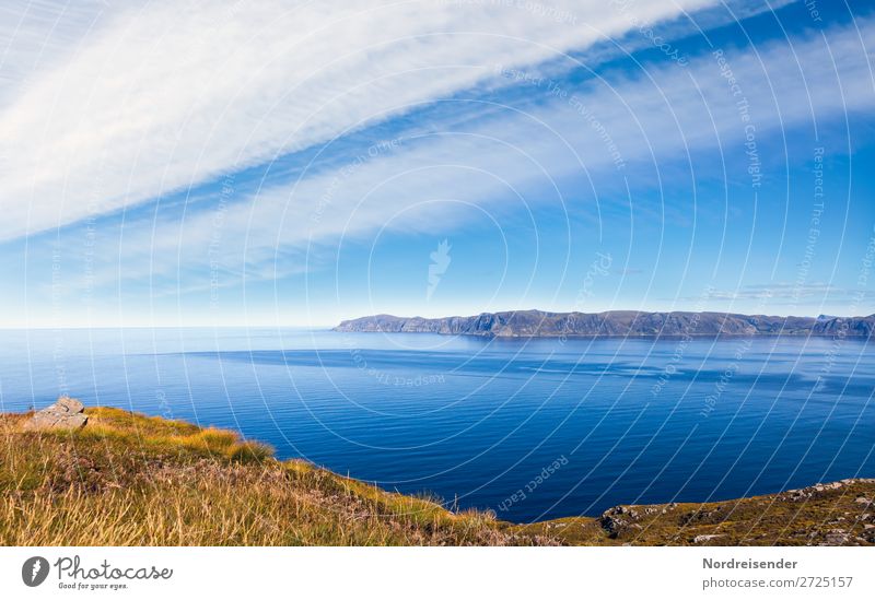 View of the Norwegian Western Cape Vacation & Travel Tourism Adventure Far-off places Freedom Summer Summer vacation Nature Landscape Water Sky Clouds