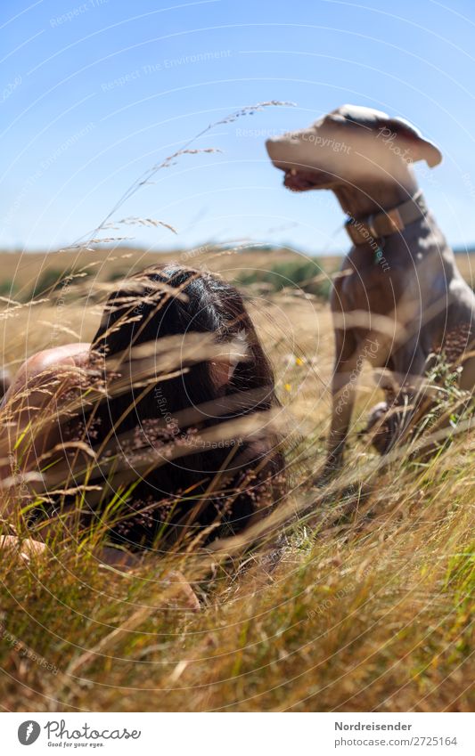 summertime Well-being Trip Summer Summer vacation Hiking Human being Feminine Woman Adults Nature Cloudless sky Beautiful weather Grass Park Meadow Pet Dog