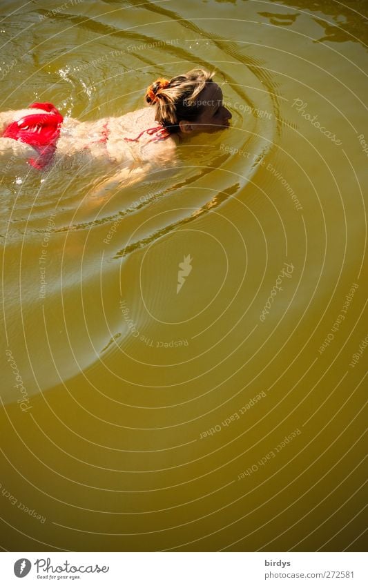 Breast swimming young woman with a red bikini in a swimming pond Bikini Feminine Young woman Youth (Young adults) 1 Human being Water Summer Lake