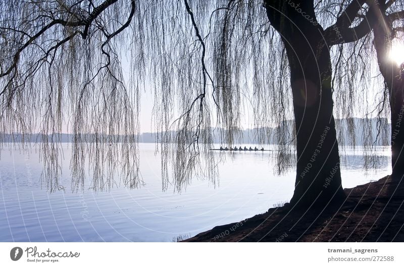 morning sun Rowing eighth Trip Landscape Water Lakeside Alster Hamburg Rowboat Cold Blue Black Contentment Idyll Colour photo Subdued colour Exterior shot