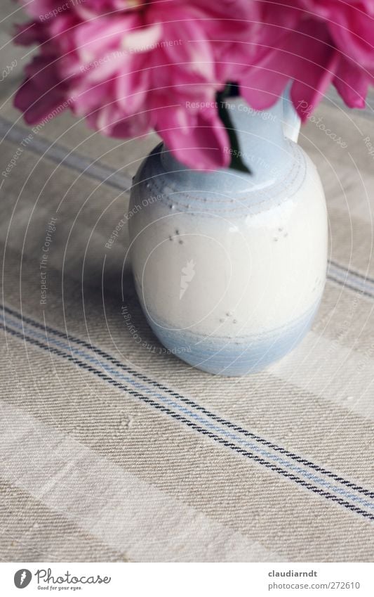 Grandma's Vase Table Flower Blossom Peony Blossoming Fragrance Beautiful Pink Tablecloth Table decoration Flower vase Depth of field Linen Striped Light blue