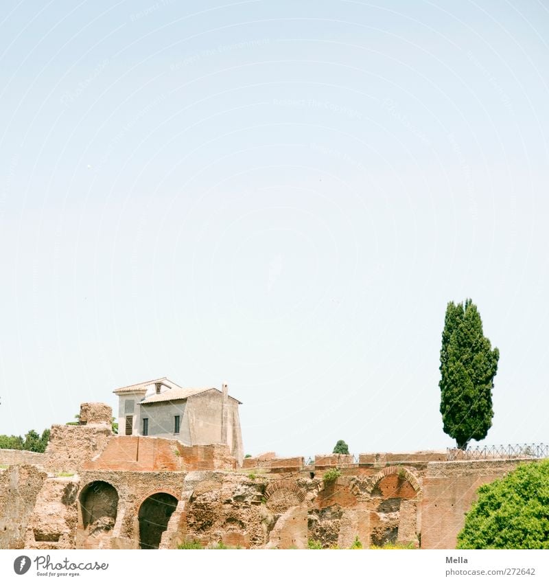 Past and present Architecture Rome Italy Europe Town Capital city Old town House (Residential Structure) Ruin Manmade structures Tourist Attraction Historic