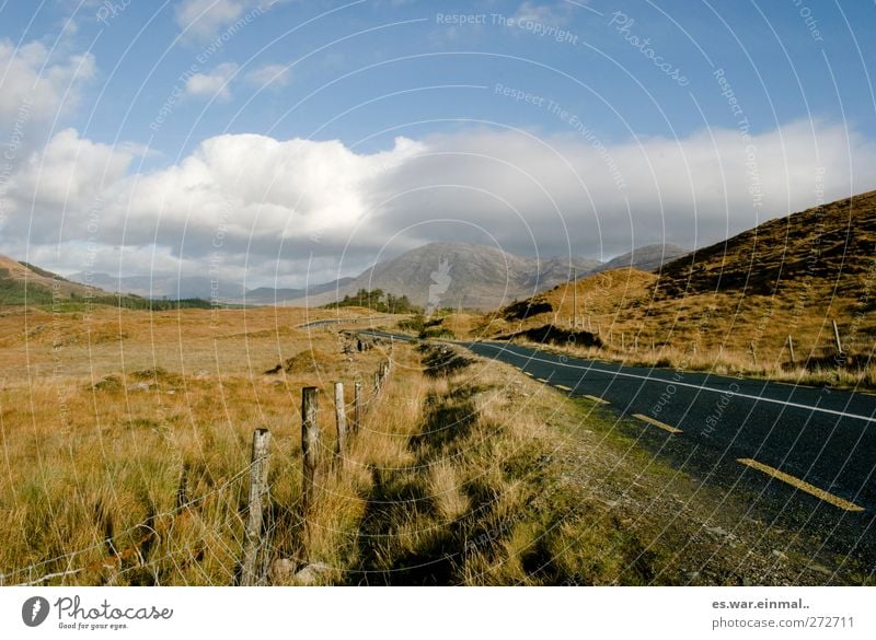 Road trippin Adventure Mountain Nature Landscape Sky Beautiful weather Hill Wild Far-off places Street Country road Colour photo Exterior shot Deserted