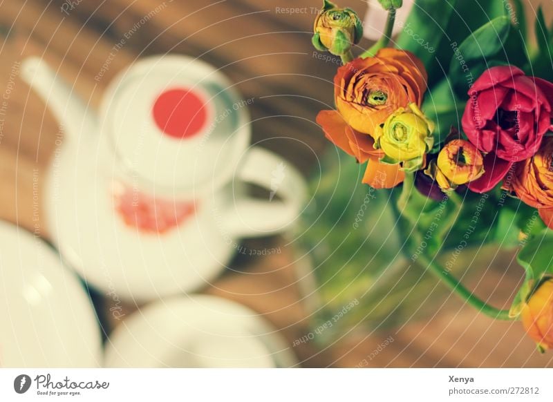 breakfast Coffee Crockery Plate Coffee pot Bouquet Retro Multicoloured Hospitality Breakfast table Coffee break Colour photo Interior shot Deserted