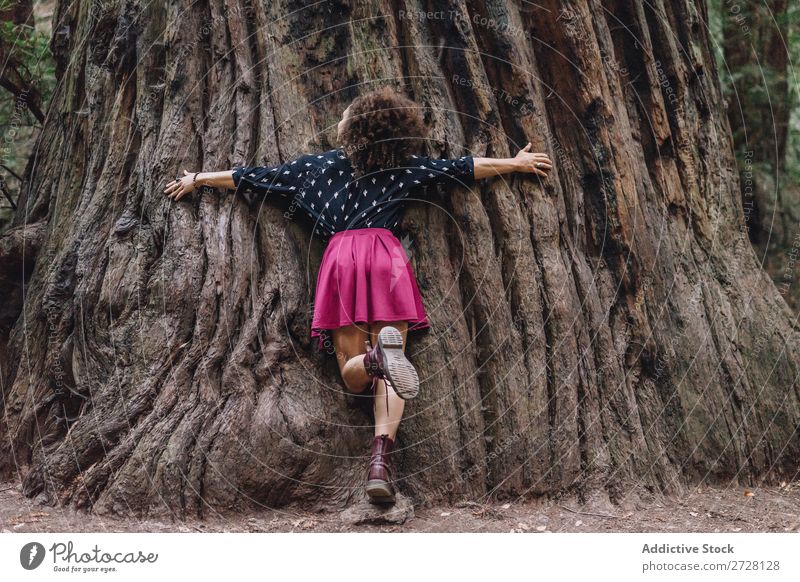 Woman embracing giant tree Tree huge Park Trunk Embrace Nature Love Relaxation wonderland Harmonious Environment Forest Dream Stand Natural Protection Traveling