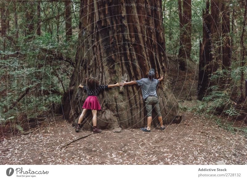 Friends hugging a giant tree Woman Tree embracing huge Park Trunk Embrace Nature Love Relaxation wonderland Harmonious Environment Forest Dream Stand Natural