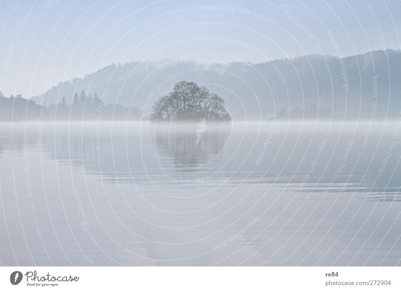 Fog banks / Lake Windermere Environment Nature Landscape Elements Water Horizon Winter Weather Lakeside Fjord Swimming & Bathing Tree Reflection Vicinity