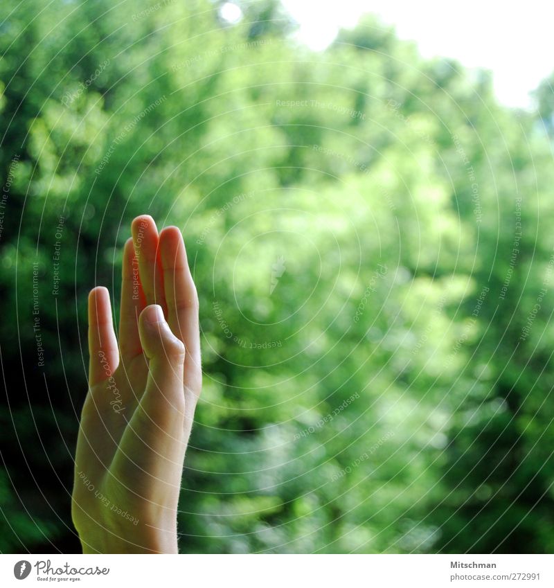 notification Hand Fingers 1 Human being Communicate Green Colour photo Multicoloured Exterior shot Close-up Copy Space right Neutral Background Day