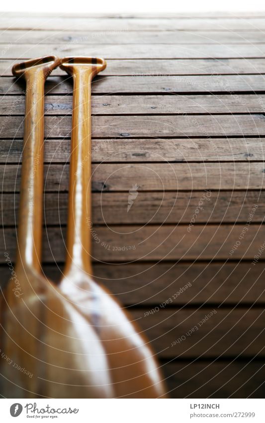 tspace on water VII Paddle Wood 2 Colour photo Deserted Copy Space right Copy Space top Shallow depth of field Object photography Partially visible